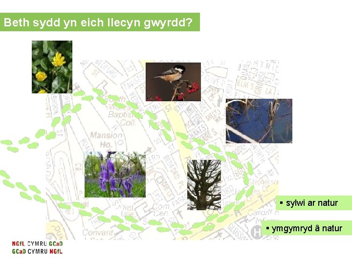 Beth sydd yn eich llecyn gwyrdd? § sylwi ar natur § ymgymryd â natur