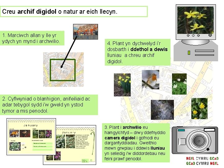 Creu archif digidol o natur ar eich llecyn. 1. Marciwch allan y lle yr