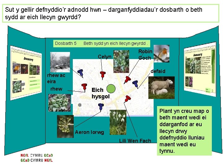 Sut y gellir defnyddio’r adnodd hwn – darganfyddiadau’r dosbarth o beth sydd ar eich Sut y gellir defnyddio’r adnodd hwn – darganfyddiadau’r dosbarth o beth sydd ar eich