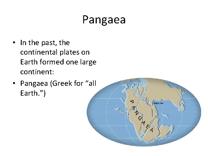 Pangaea • In the past, the continental plates on Earth formed one large continent: