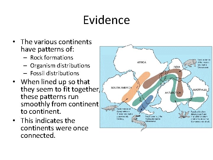 Evidence • The various continents have patterns of: – Rock formations – Organism distributions