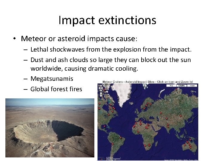 Impact extinctions • Meteor or asteroid impacts cause: – Lethal shockwaves from the explosion