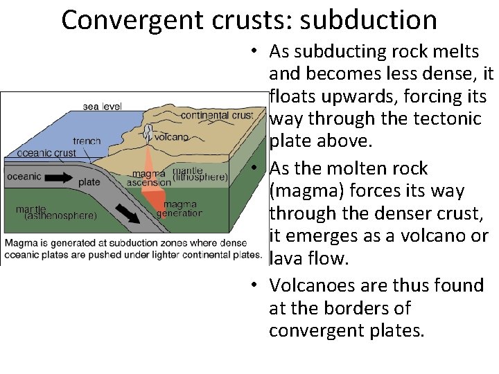 Convergent crusts: subduction • As subducting rock melts and becomes less dense, it floats