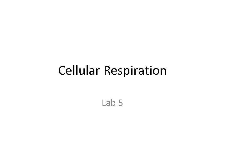Cellular Respiration Lab 5 