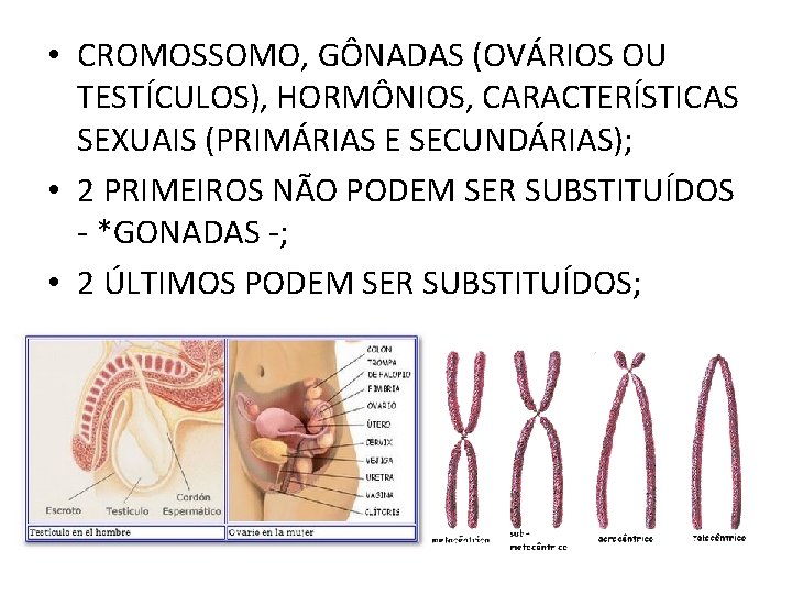  • CROMOSSOMO, GÔNADAS (OVÁRIOS OU TESTÍCULOS), HORMÔNIOS, CARACTERÍSTICAS SEXUAIS (PRIMÁRIAS E SECUNDÁRIAS); •