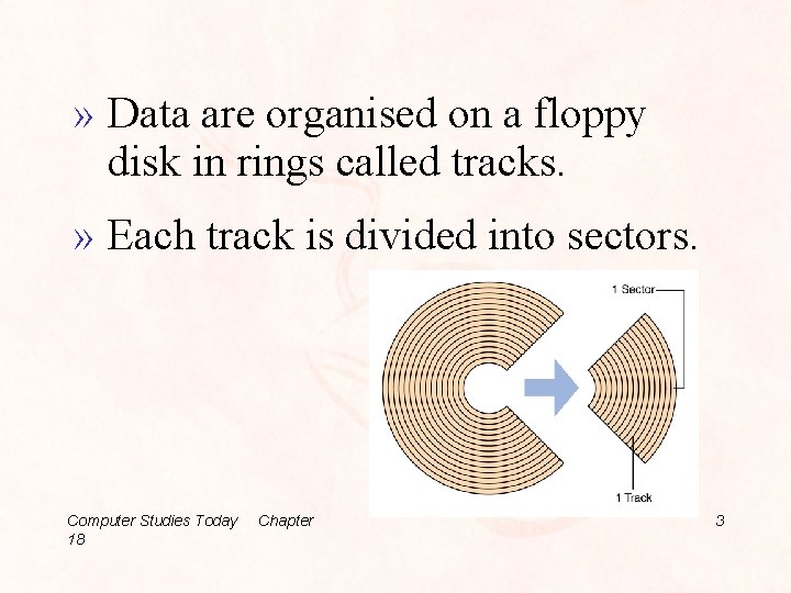 » Data are organised on a floppy disk in rings called tracks. » Each