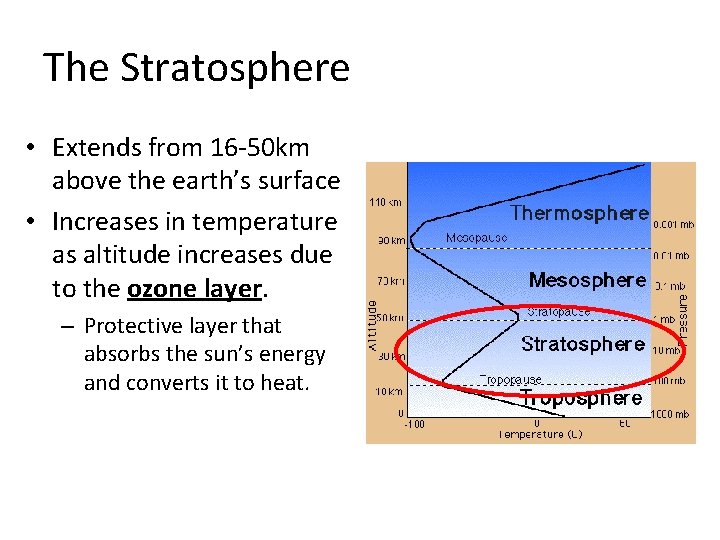 The Stratosphere • Extends from 16 -50 km above the earth’s surface • Increases