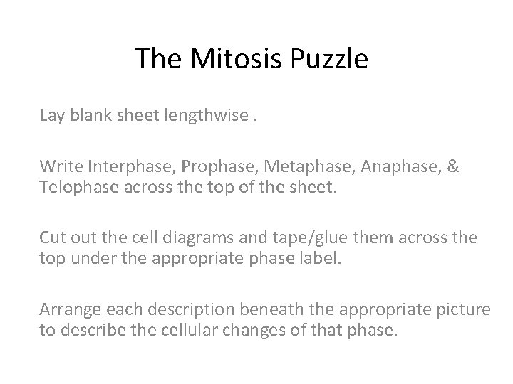 The Mitosis Puzzle Lay blank sheet lengthwise. Write Interphase, Prophase, Metaphase, Anaphase, & Telophase