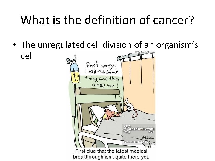What is the definition of cancer? • The unregulated cell division of an organism’s