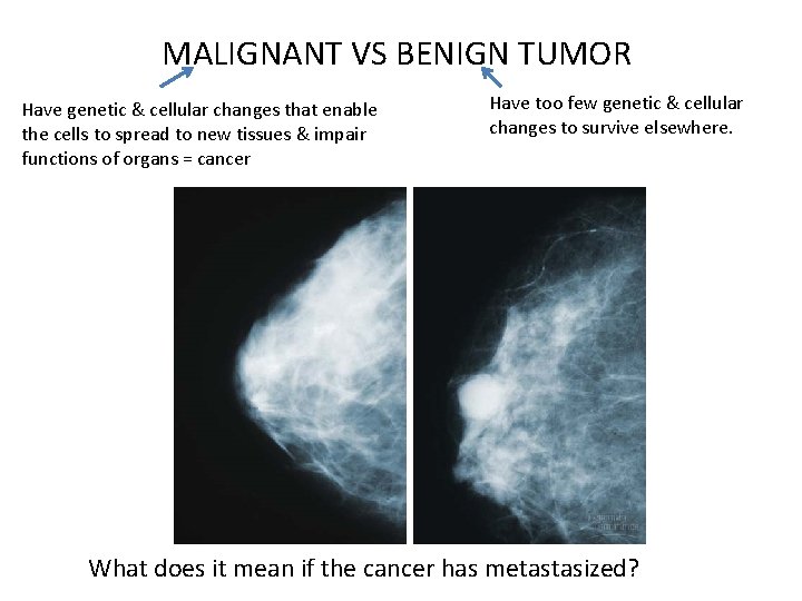 MALIGNANT VS BENIGN TUMOR Have genetic & cellular changes that enable the cells to