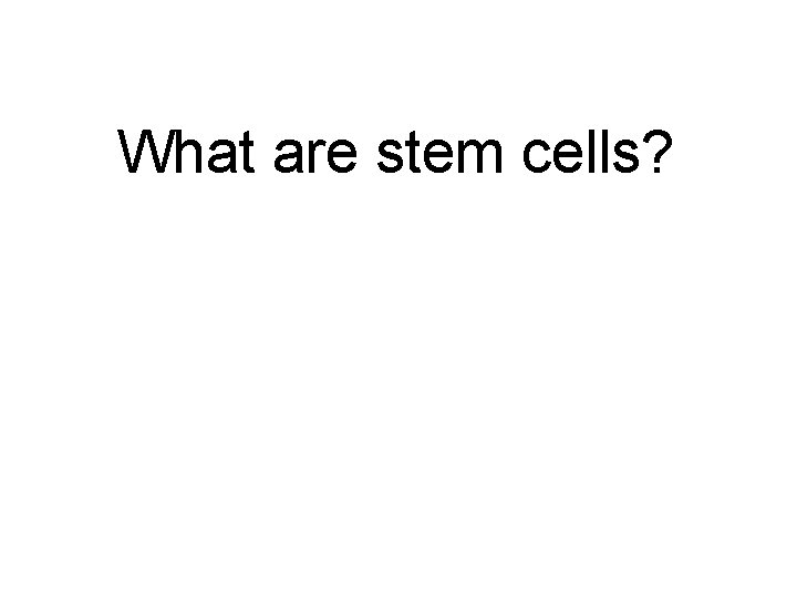 What are stem cells? 
