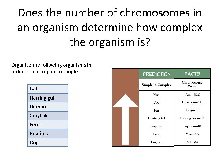 Does the number of chromosomes in an organism determine how complex the organism is?