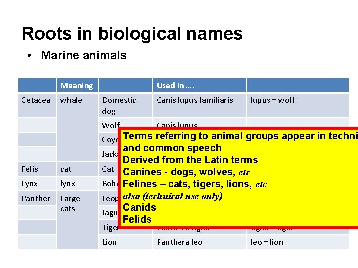 Roots in biological names • Marine animals Meaning Cetacea whale Used in …. Domestic