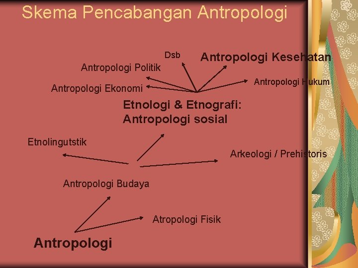 Skema Pencabangan Antropologi Dsb Antropologi Politik Antropologi Kesehatan Antropologi Hukum Antropologi Ekonomi Etnologi &