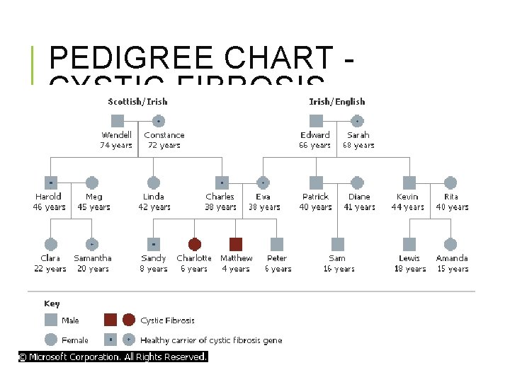 PEDIGREE CHART CYSTIC FIBROSIS 