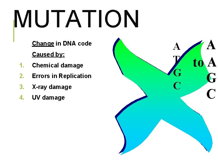 MUTATION Change in DNA code Caused by: 1. Chemical damage 2. Errors in Replication