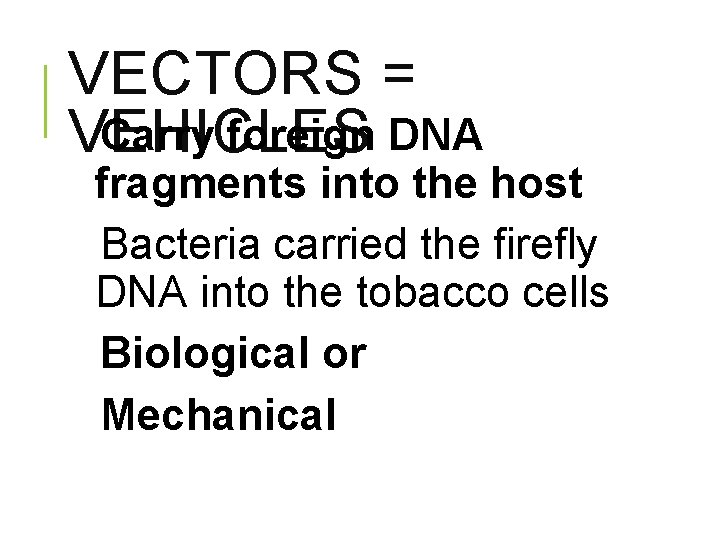 VECTORS = Carry foreign DNA VEHICLES fragments into the host Bacteria carried the firefly