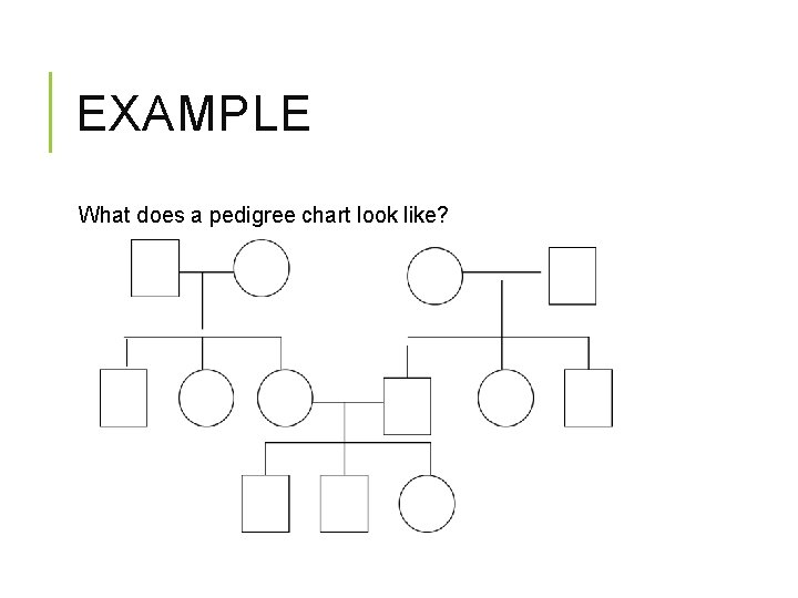 EXAMPLE What does a pedigree chart look like? 