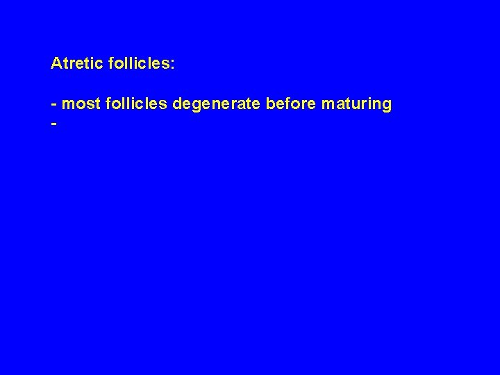 Atretic follicles: - most follicles degenerate before maturing - 