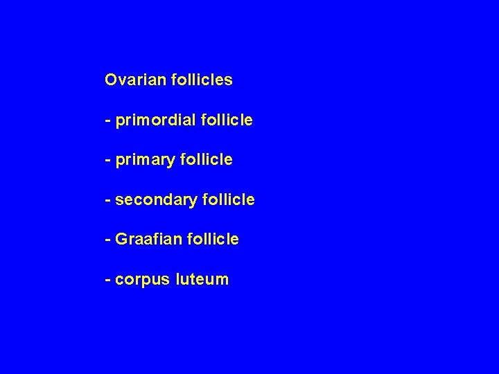 Ovarian follicles - primordial follicle - primary follicle - secondary follicle - Graafian follicle