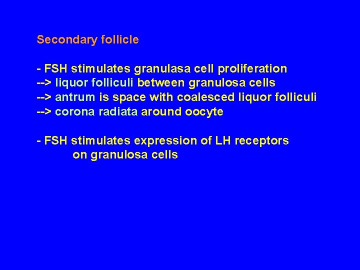 Secondary follicle - FSH stimulates granulasa cell proliferation --> liquor folliculi between granulosa cells