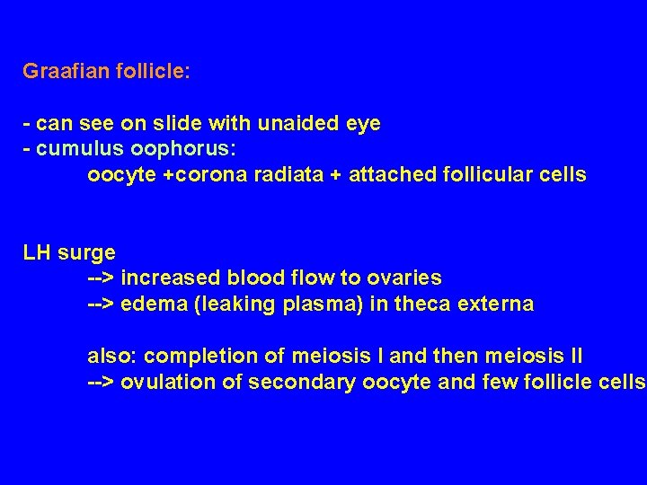 Graafian follicle: - can see on slide with unaided eye - cumulus oophorus: oocyte