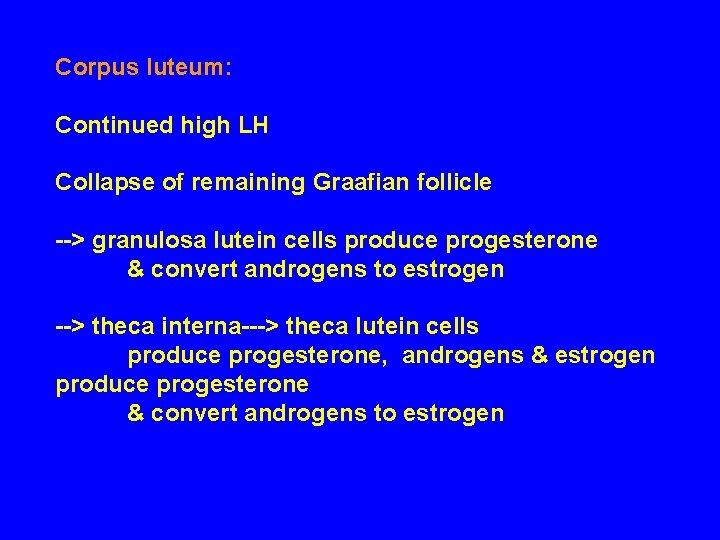 Corpus luteum: Continued high LH Collapse of remaining Graafian follicle --> granulosa lutein cells