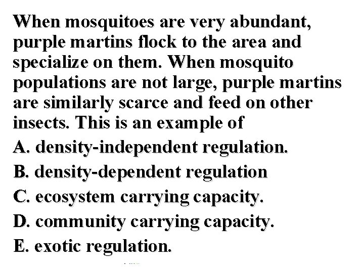 When mosquitoes are very abundant, purple martins flock to the area and specialize on