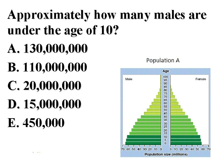 Approximately how many males are under the age of 10? A. 130, 000 B.