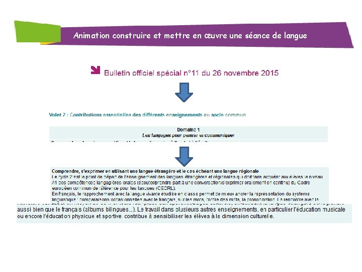 Animation construire et mettre en œuvre une séance de langue 