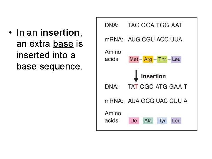  • In an insertion, an extra base is inserted into a base sequence.