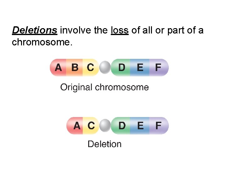 Deletions involve the loss of all or part of a chromosome. 