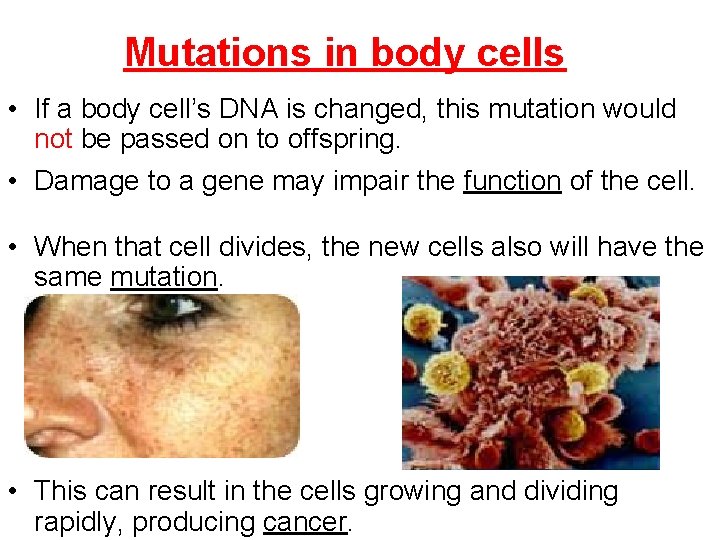Mutations in body cells • If a body cell’s DNA is changed, this mutation