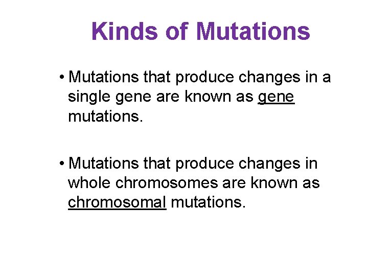 Kinds of Mutations • Mutations that produce changes in a single gene are known