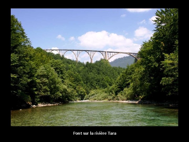 Pont sur la rivière Tara 