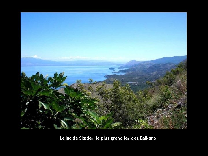 Le lac de Skadar, le plus grand lac des Balkans 