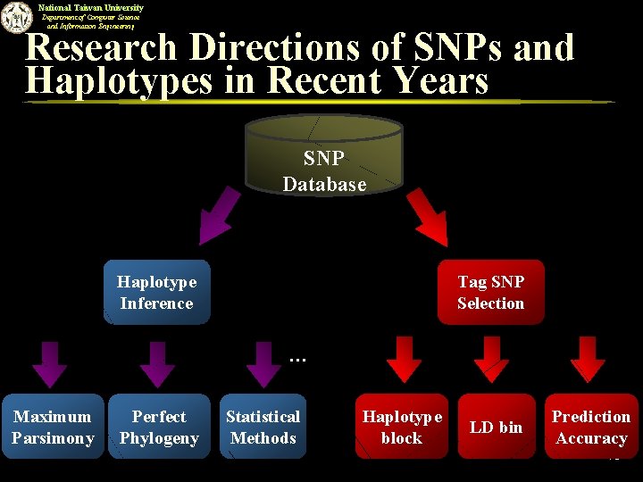 National Taiwan University Department of Computer Science and Information Engineering Research Directions of SNPs