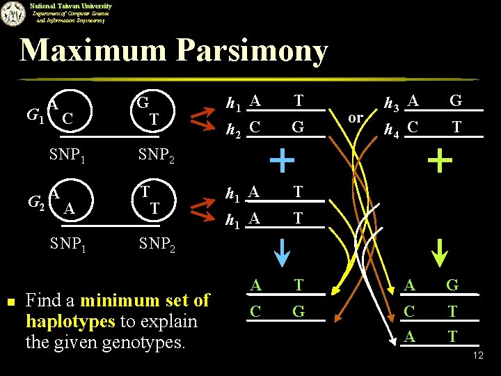 National Taiwan University Department of Computer Science and Information Engineering Maximum Parsimony G 1