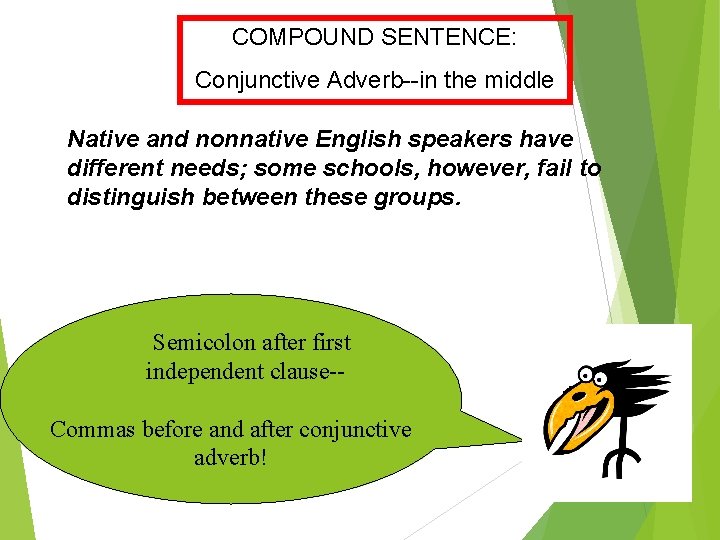 COMPOUND SENTENCE: Conjunctive Adverb--in the middle Native and nonnative English speakers have different needs;