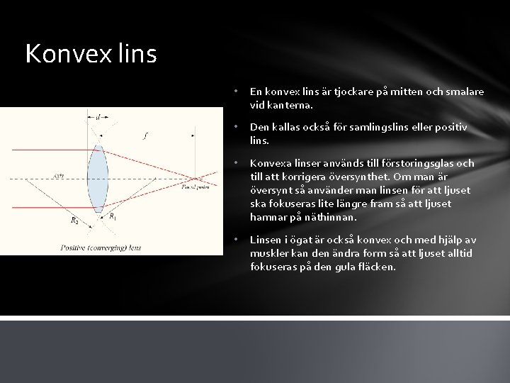 Konvex lins • En konvex lins är tjockare på mitten och smalare vid kanterna.