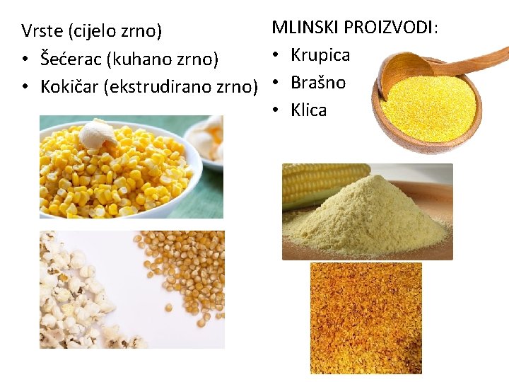 MLINSKI PROIZVODI: Vrste (cijelo zrno) • Krupica • Šećerac (kuhano zrno) • Kokičar (ekstrudirano