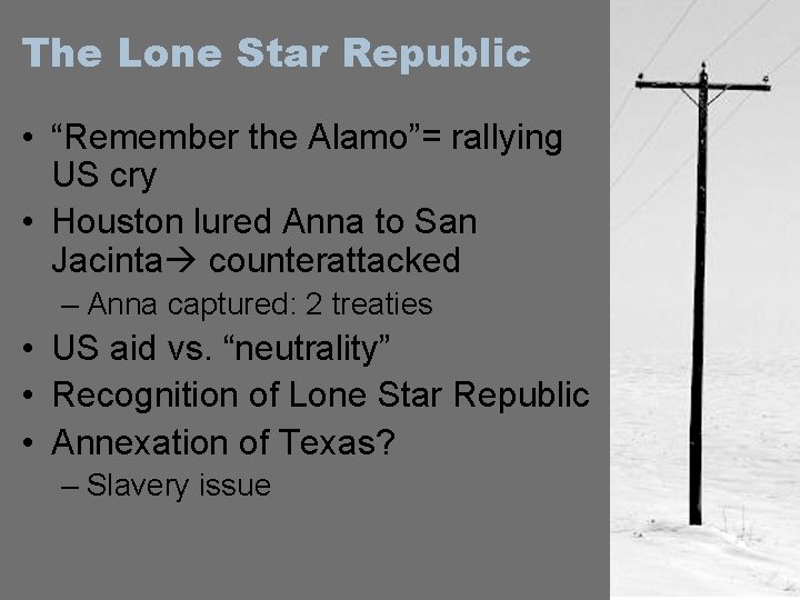 The Lone Star Republic • “Remember the Alamo”= rallying US cry • Houston lured