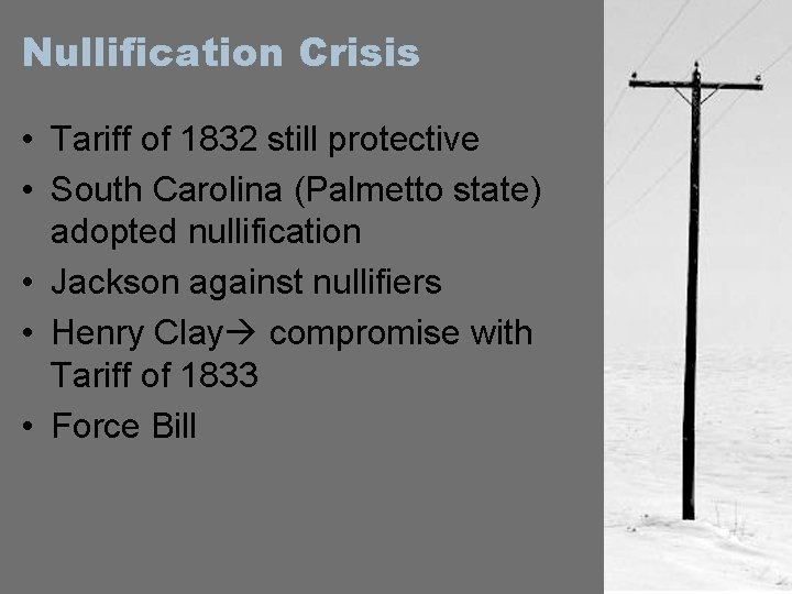 Nullification Crisis • Tariff of 1832 still protective • South Carolina (Palmetto state) adopted