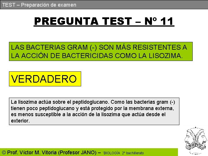 TEST – Preparación de examen PREGUNTA TEST – Nº 11 LAS BACTERIAS GRAM (-)