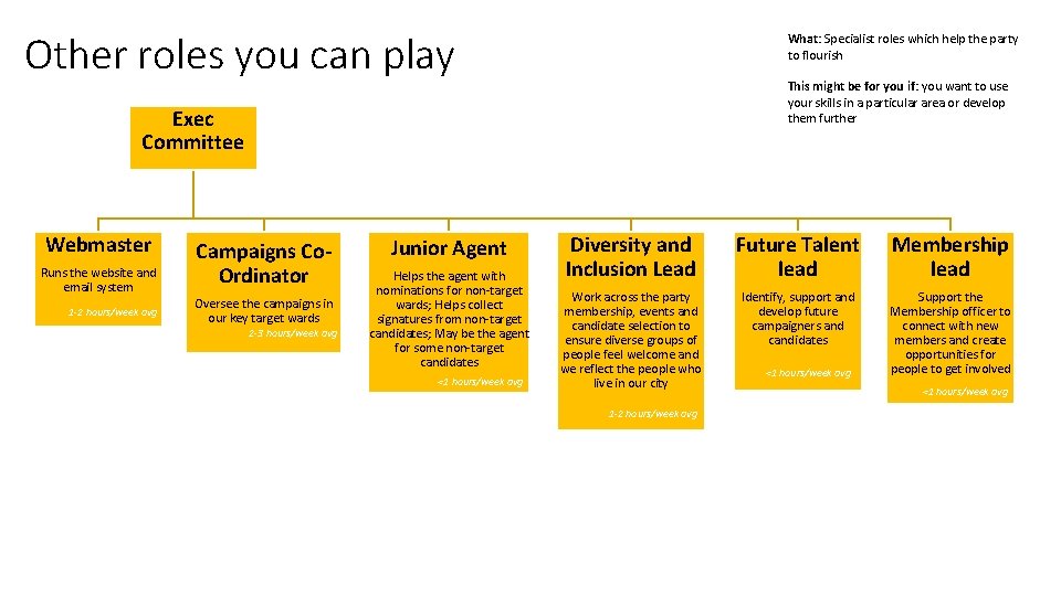 Other roles you can play What: Specialist roles which help the party to flourish