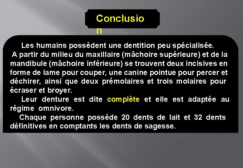 Conclusio n Les humains possèdent une dentition peu spécialisée. A partir du milieu du