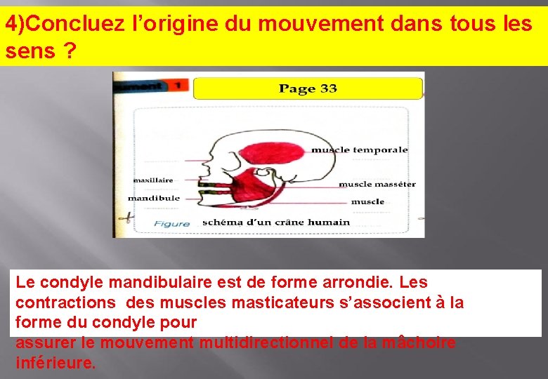 4)Concluez l’origine du mouvement dans tous les sens ? Le condyle mandibulaire est de