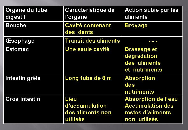 Organe du tube digestif Caractéristique de l’organe Action subie par les aliments Bouche Cavité