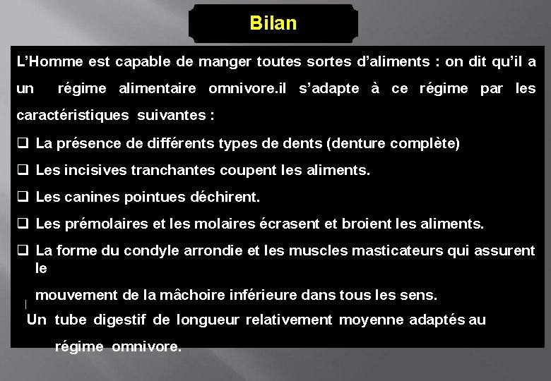 Bilan L’Homme est capable de manger toutes sortes d’aliments : on dit qu’il a