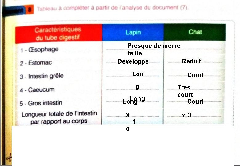 Presque de même taille Réduit Développé Lon g Long x 1 0 Court Très